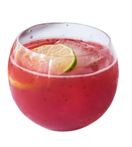 Summer Berry Citrus Spritzer